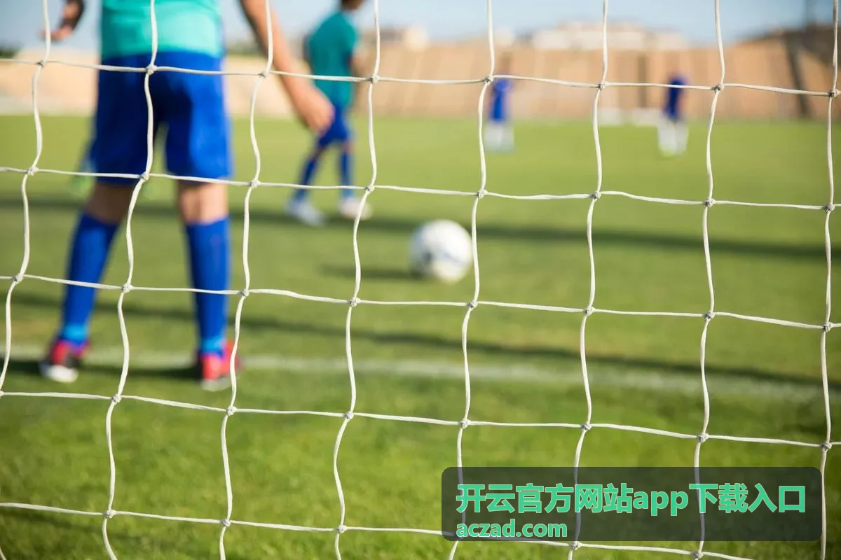 开云官方网站app下载入口 客户端功能模块介绍配图