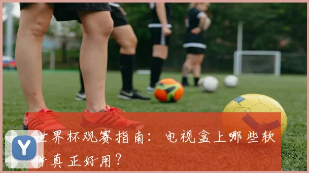 世界杯观赛指南：电视盒上哪些软件真正好用？